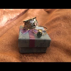 Costume ring and fidget ring